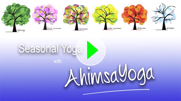 Video link image