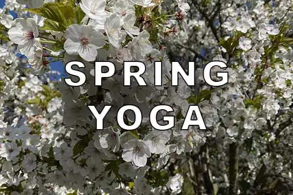Spring